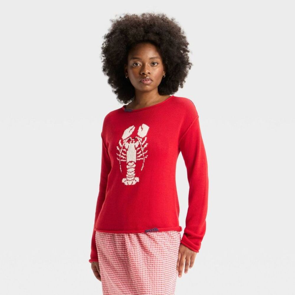 Women's Wide Crewneck Americana Pullover Sweater - Wild Fable Dark Red XS